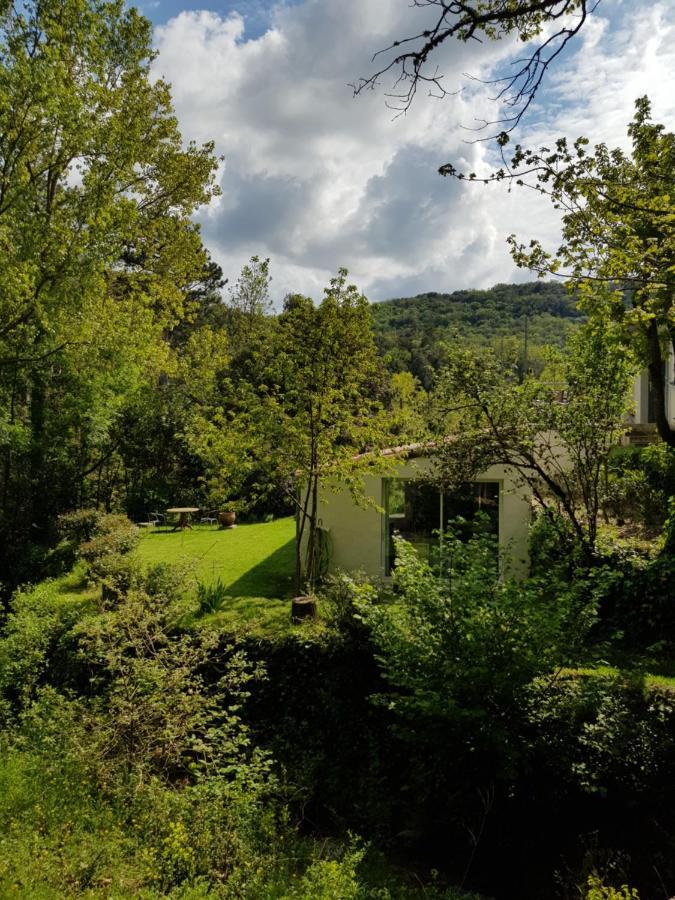 Beautiful studio surrounded by nature Lanet Exterior foto