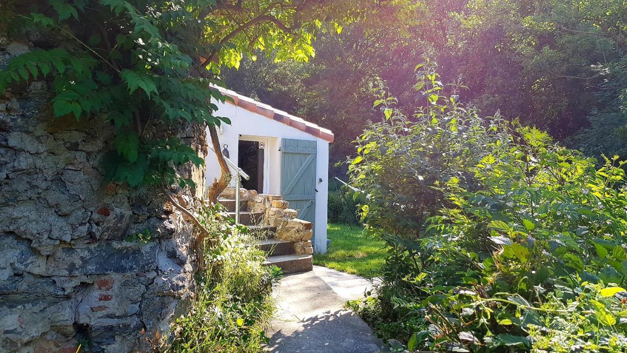 Beautiful studio surrounded by nature Lanet Exterior foto