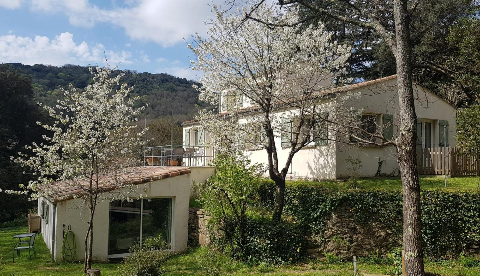 Beautiful studio surrounded by nature Lanet Exterior foto